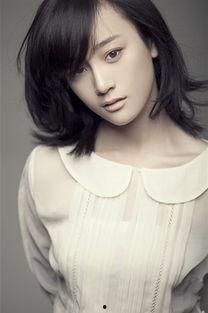 兰瑟资料,揭秘历史与文化的璀璨瑰宝